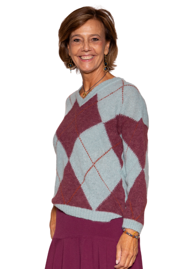 Jersey rombos Gris y granate